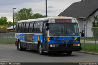 TRANSDEV-638210.jpg