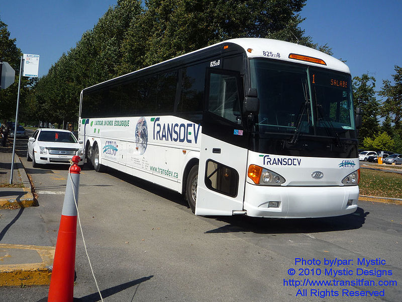 File:CITSO 825338.jpg