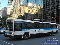 STM-12067.jpg