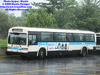 STM-12043.jpg
