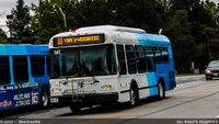 YRT-567.jpg