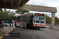 TTC-1801.JPG