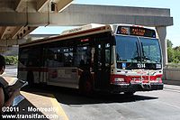 TTC-1514.jpg