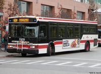 TTC 7978.jpg