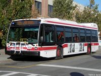 TTC 8453.jpg