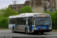 TRANSDEV-379219.jpg