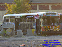 STM-11027.jpg
