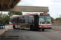 TTC-1417.jpg