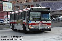 TTC-7021.JPG