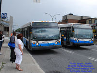 STM 21-275.jpg