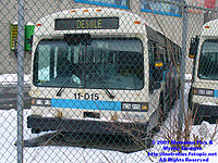 STM-11015.jpg