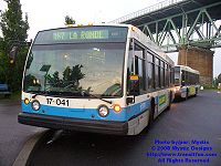 STM 17-041.jpg