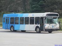 YRT 9703.jpg