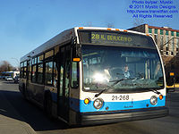 STM 21268.jpg