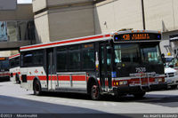 TTC-7535.jpg