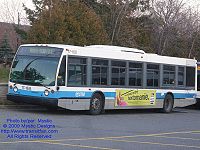 STM 17-168.jpg