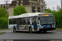 TRANSDEV-356216.jpg