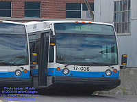 STM 17-036.jpg