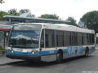 STM 17-137.jpg