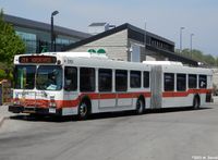 MiWay 0151.jpg