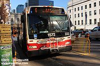 TTC-1572.jpg