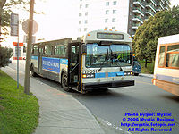 STM-11051.jpg
