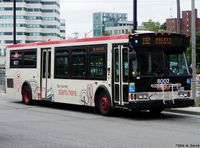 TTC 8002.jpg