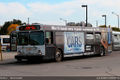 BURT 7053-10.jpg