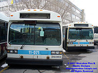 STM-11071.jpg