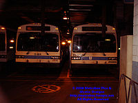 STM-11058.jpg