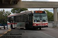 TTC-1598.jpg