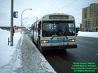 STM-11036.jpg