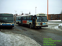 STM-12056.jpg