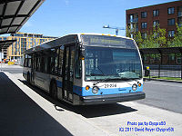 STM 21-256.jpg