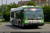 TRANSDEV-391211.jpg