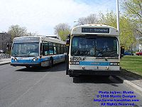 STM 23-217.jpg