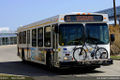 BURT 7051-10.jpg