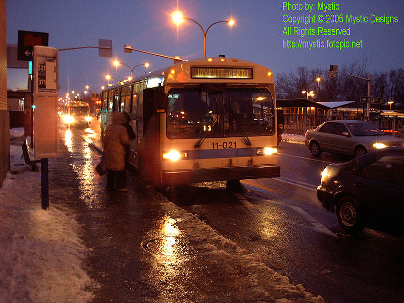 File:STM-11-021.jpg