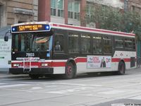 TTC 7803.jpg