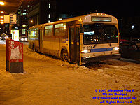 STM-11078.jpg