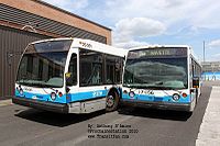 STM 17-156.jpg