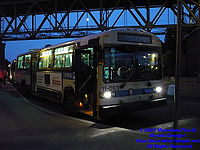 STM-11053.jpg