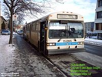 STM-11095.jpg