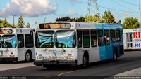 YRT-704.jpg