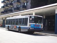 stm18-036e