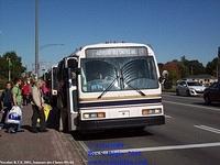 NovaBus R.T.S. 2001