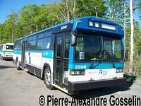 GMC / MCI / Novabus Classic photos