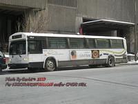 Other Buses
