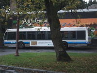 STM Novabus LFS