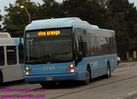 VIVA-5147-24082011-01